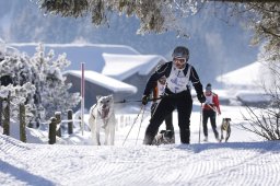 Lenk 2013